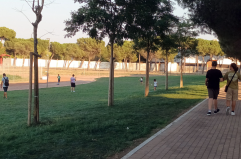 &laquo;A Foggia ci sono i suoli per una riforestazione&raquo;