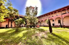 Studiare la filosofia come unica strada per iniziare a pensare