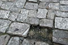 Bari, mette il piede su una basola traballante e cade rompendosi l'omero: prof.ssa denuncia sui social &laquo;Ma chi interviene?&raquo;