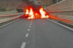 Viaggio all&rsquo;interno del &laquo;Campo sosta Panareo&raquo; sulla SS 7ter Lecce-Taranto: un pezzo di Puglia &laquo;dimenticato&raquo;