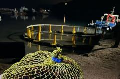 Manfredonia, Guardia costiera sequestra 3mila ricci di mare: sanzionati tre pescatori sportivi