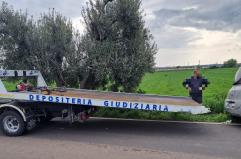 Esce fuori strada e si schianta contro un ulivo tra Castellaneta e Laterza, 74enne muore in ospedale