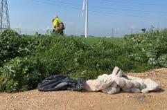 Elena scomparsa nel Foggiano, trovato il suo giaccone sotto un ponte: si cerca la 21enne con i cani molecolari VIDEO