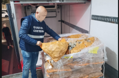 Pesce senza tracciabilit&agrave; e mal conservato: maxi sequestro da 500 kg nella Bat