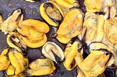 &laquo;La Cozza tarantina: il Gusto del mare in Puglia&raquo;, al via il contest per gli studenti degli istituti alberghieri