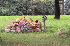 Bari, il cimitero dei cani del clan a Japigia sar&agrave; dismesso: via le 56 tombe abusive