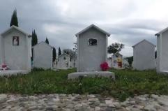 Bari, verso la creazione di un cimitero per animali: &laquo;Serve una risposta dignitosa per i cittadini&raquo;