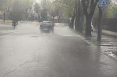 Maltempo, allagamenti e alberi caduti nel Foggiano. Esondato il torrente Lavella, non percorribile la provinciale 125