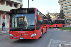 Trasporto pubblico a Matera, vertice sui dubbi dell&rsquo;appalto dopo l&rsquo;esclusione della Miccolis, classificata prima nella gara