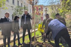 Bari, in piazza Cesare Battisti piantato un albero in ricordo delle vittime innocenti di mafia