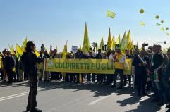 Bari, sul lungomare la protesta di agricoltori e allevatori: &laquo;Costi alle stelle e campagne al collasso&raquo;