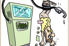 La vignetta del giorno