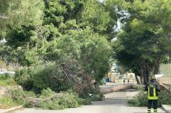 Bisceglie, dopo la morte di Alicia il sindaco chiude le scuole e i parchi cittadini