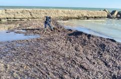 Lecce, due darsene nel caos: il Comune corre ai ripari, c'&egrave; l'ipotesi affidamento diretto