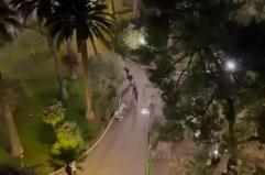 Bari, ancora tensione in Piazza Umberto: scoppia una rissa per un gatto, residenti esasperati