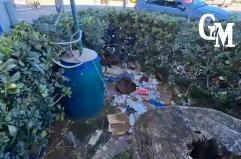 Bari, i giardini del Lungomare di Crollalanza in abbandono tra incuria, degrado e indignazione VIDEO