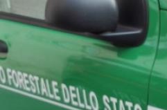 Cagnano Varano, ritrovato in caserma il corpo senza vita di un carabiniere forestale. L'ipotesi di un gesto estremo