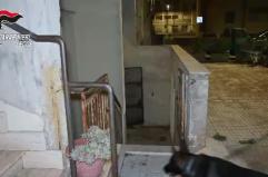 Maxioperazione antidroga nel Salento: venti arresti, smantellata rete dello spaccio da Nardò a Galatone VIDEO