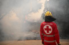 Tre arresti in Grecia, sospettati di aver appiccato un incendio