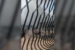 Israele avvia l'operazione di terra, 'tank a Gaza city'
