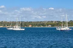 Flotilla, 'attacco all'Italia, governo intervenga'