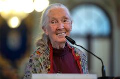 Morta a 91 anni la celebre etologa Jane Goodall