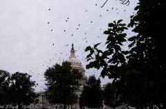 Gli Usa entrano ufficialmente in shutdown