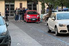 Giovane ucciso: madre, la mia vita è distrutta