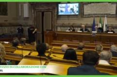 Cnel, 'progressi nella P.a ma restano i divari territoriali'