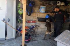 Droga e armi, smantellata rete di spaccio fra Ragusa e Siracusa