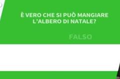 Ansa VERIFIED - E' vero che si puo' mangiare l'Albero di Natale?