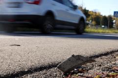 Investito e ucciso su carrozzina, Martinez indagato