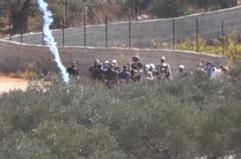 Cisgiordania, l'Esercito israeliano disperde un gruppo di agricoltori e attivisti