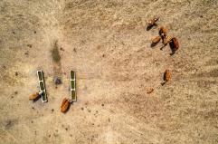 Fao, il degrado del suolo danneggia 1,7 miliardi di persone