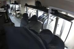 Torino, "spaccata" e furto in un negozio: quattro arresti