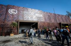 Cina, il mondo rimuova dazi e barriere sui prodotti green