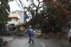 Il super tifone Fung-Wong colpisce le Filippine, alberi sradicati e lampioni abbattuti