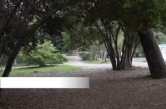 Roma, ville storiche senza custodi, protestano i cittadini