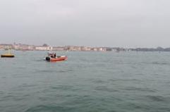 Il delfino di Venezia allontanato dal bacino di San Marco