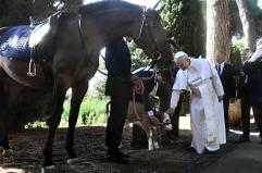 Il Papa, 'io a Castel Gandolfo tra tennis e piscina'