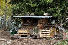 Famiglia bosco, genitori convocati giovedì in Tribunale