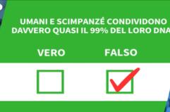 Ansa VERIFIED - Umani e scimpanze' condividono davvero quasi il 99% del loro Dna?