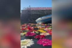Mille fiori in darsena Pozzuoli, sono simbolo della lotta al bradisismo