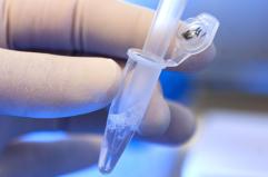 Maculopatia senile, positivi i primi dati sulla terapia genica