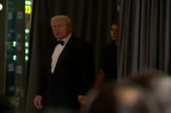 Trump: "Un po' deluso da Zelensky, non ha letto la proposta di pace"