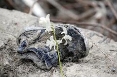 Birmania: raid aereo della giunta su un ospedale, almeno 31 morti