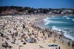 Media, in Australia sparatoria di massa a Bondi Beach, a Sydney