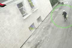 Truffe agli anziani nel Milanese, sgominata la banda del "finto carabiniere"