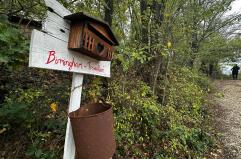 Giudici, genitori dei bimbi nel bosco abbattano il muro di diffidenza