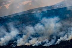 Incendi devastano la Patagonia argentina, distrutti 2.100 ettari